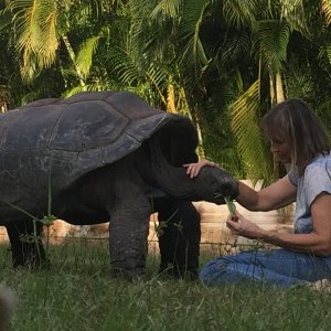 Aldabra Breeders