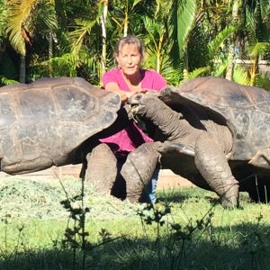 Aldabra Breeders