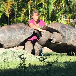 Aldabra Breeders