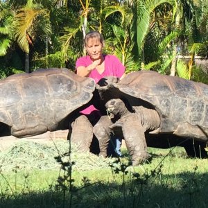 Aldabra Breeders