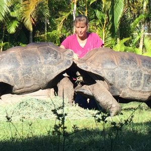 Aldabra Breeders