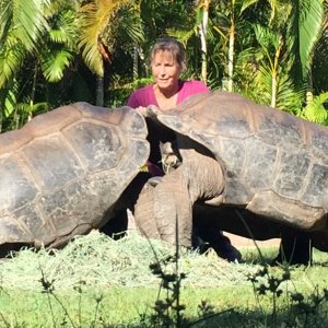 Aldabra Breeders
