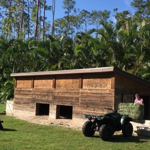 Aldabra Breeders