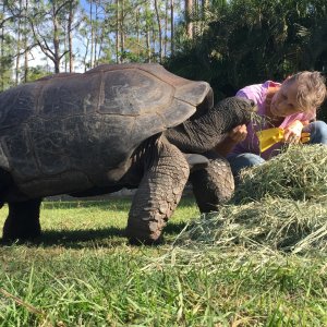 Aldabra Breeders