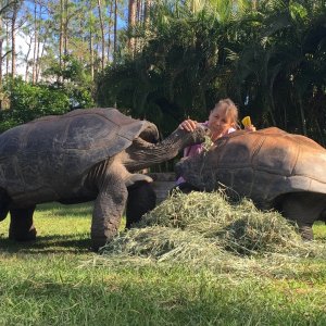 Aldabra Breeders