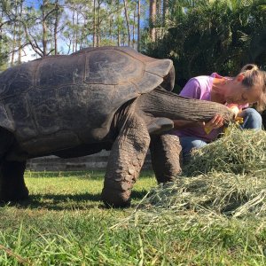 Aldabra Breeders