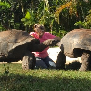 Aldabra Breeders