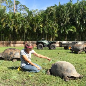 Aldabra Breeders