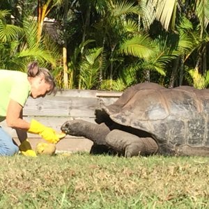 Aldabra Breeders