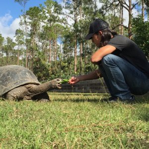Aldabra Breeders