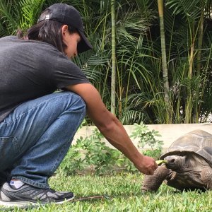 Aldabra Breeders