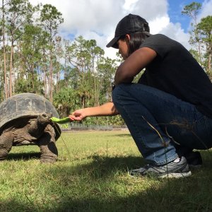 Aldabra Breeders
