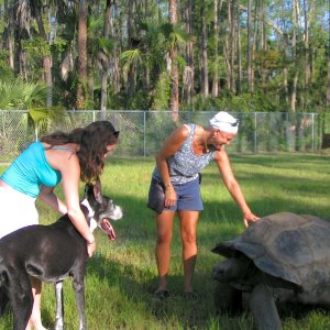 Aldabra Breeders