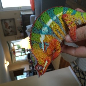 2016-10-21_16-39-34_000