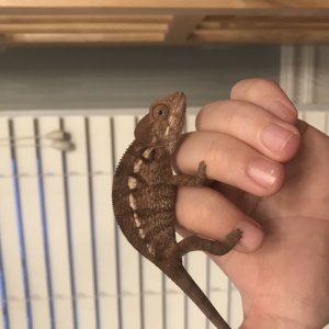 2018-03-20_19-23-09_1831