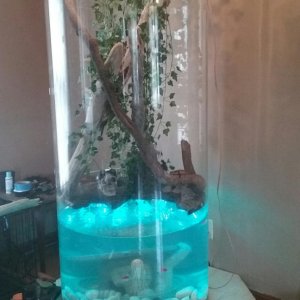 Something I built  !