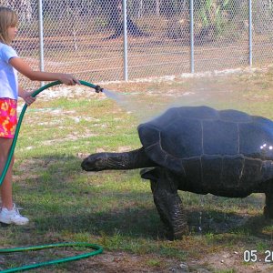 ALDABRAMAN