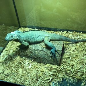 IMG_06751
