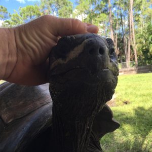 ALDABRAMAN