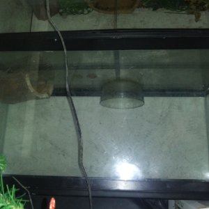 Aquarium