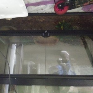 Aquarium