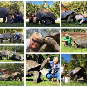 ALDABRAMAN