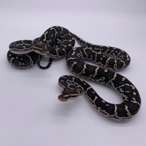 ANGPAIR