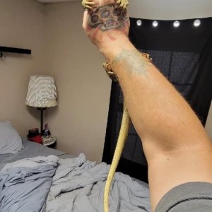 My reptiles