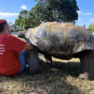 ALDABRAMAN