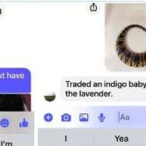Tim_Brophy_snakes