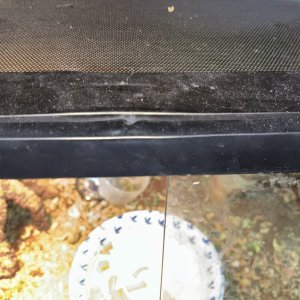 Slight defect