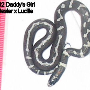 02daddysgirl