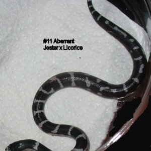11aberrant