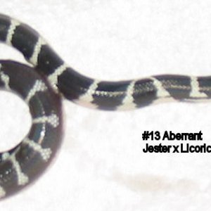 13aberrant