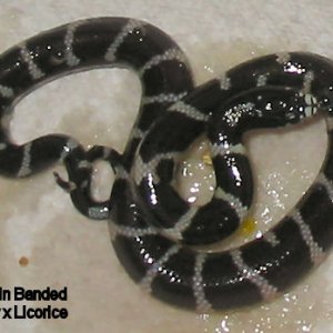 14a