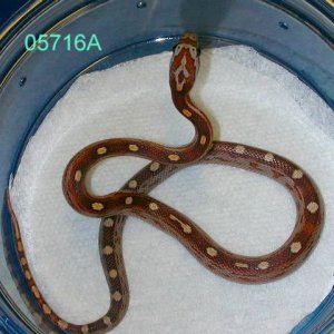 05