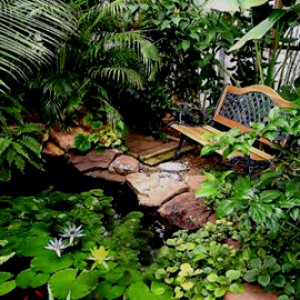 3000 gallon Pond Viewing Area