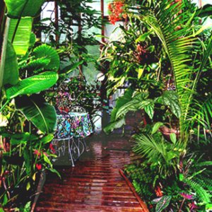 "Costa Rica Under Glass"