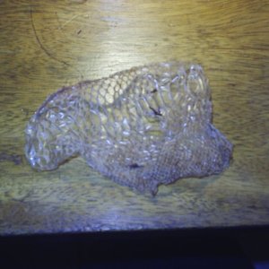 1st shed