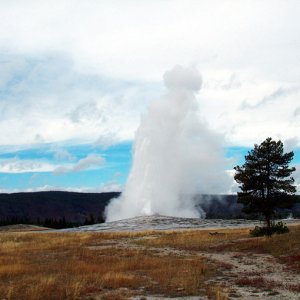 Old Faithful