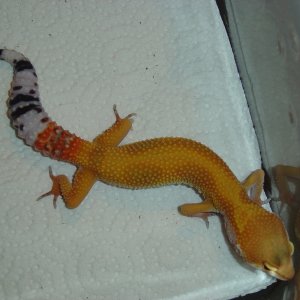 Tornado_shoot_11-06-05_019teeb5f