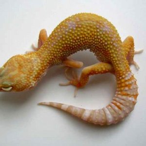 pic 3