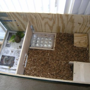 Home Terrarium