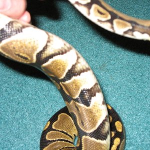 Female 2