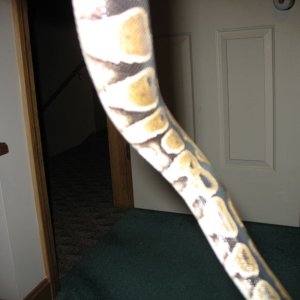 Female 2