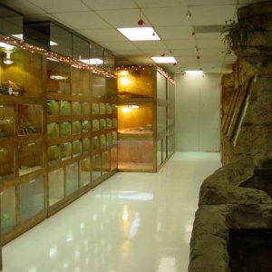 DSC02147