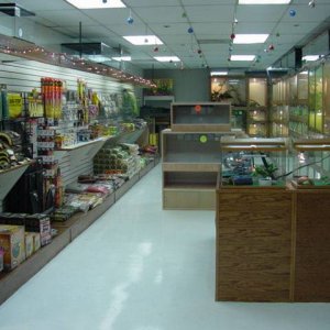 DSC02162