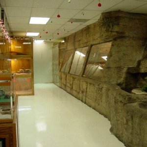 DSC02148
