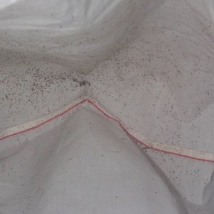 reptileguru mites #2