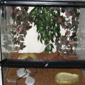 my set up